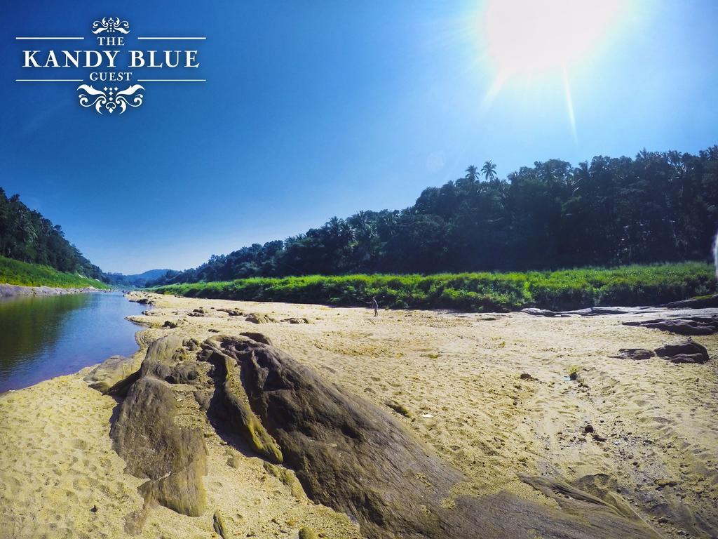 Kandy Blue エクステリア 写真